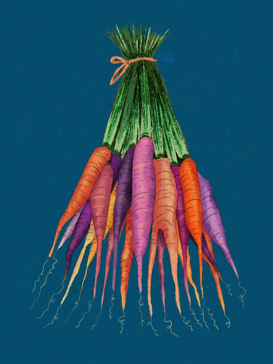 Polychromatic carrots.