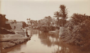 Georg Schweinfurth and Egyptology at the...